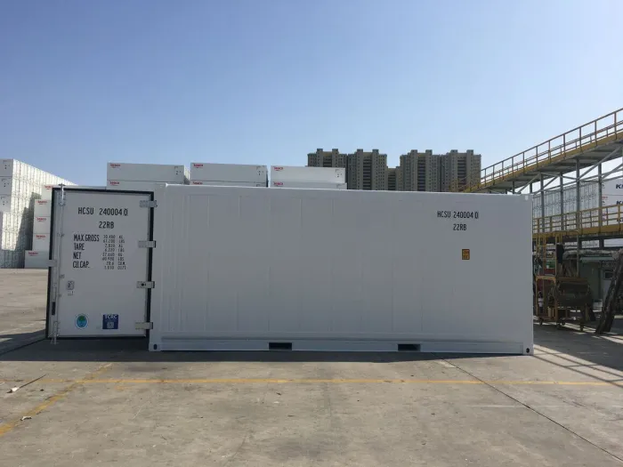 20FT Shipping container 20ft Domestic Refrigerated Containers – Reefers